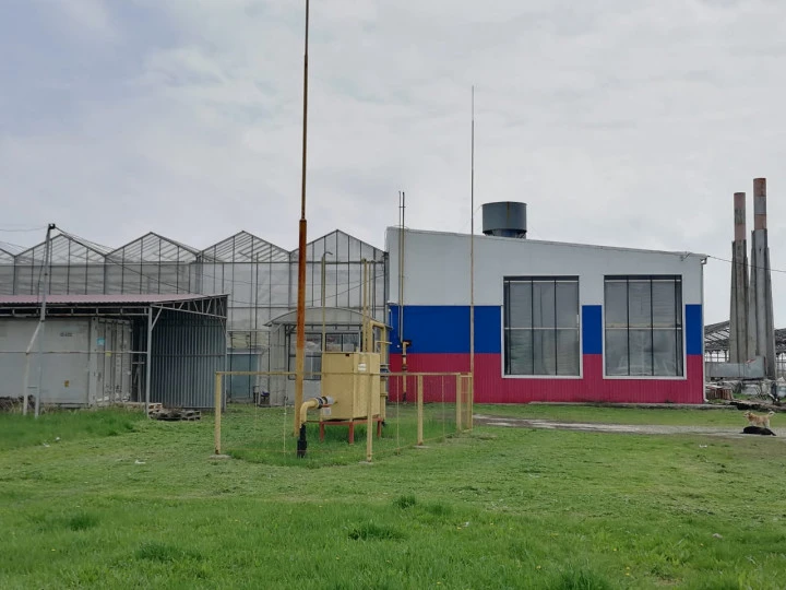 Тепличный комплекс "Калининский", Краснодарский край, ст-ца Калининская